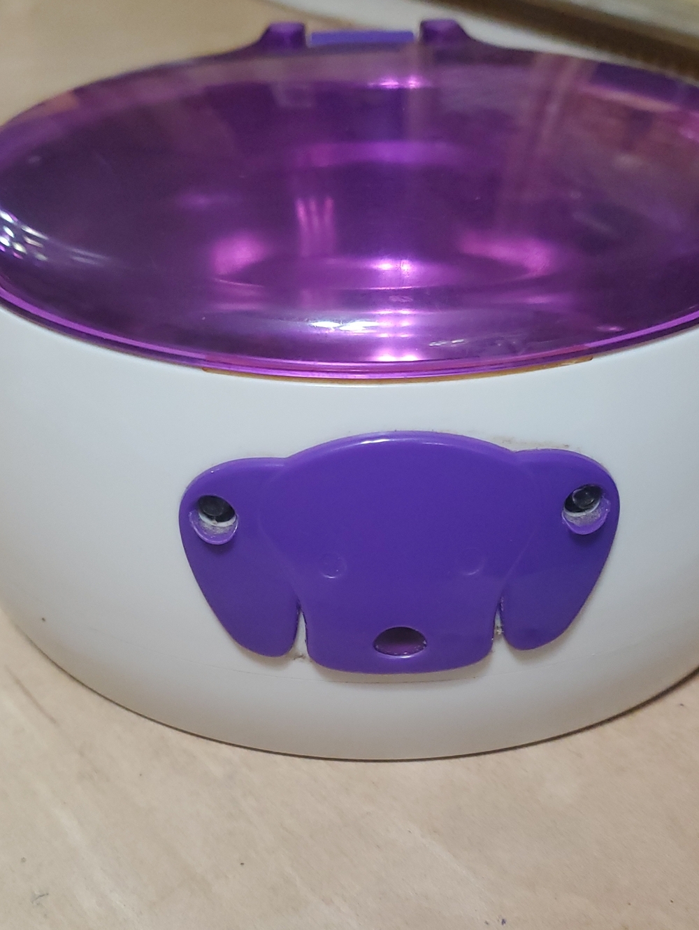 Dog water bowl Accessory - Purple